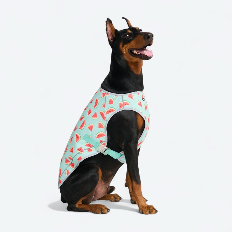 Watermelon Cooling Vest