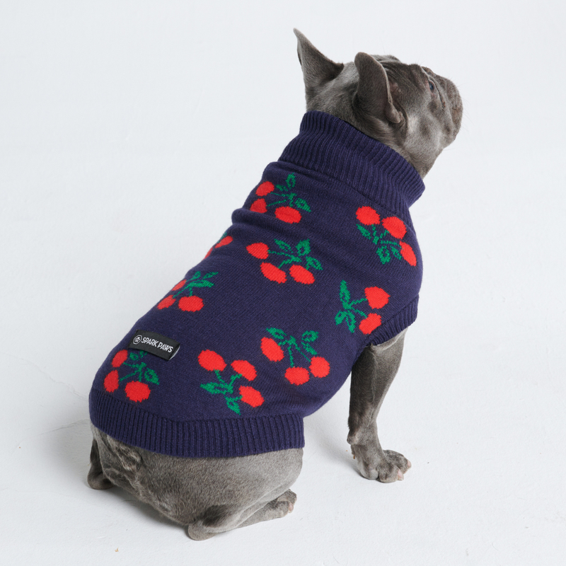 Maglione per cane lavorato a maglia - Ciliegie