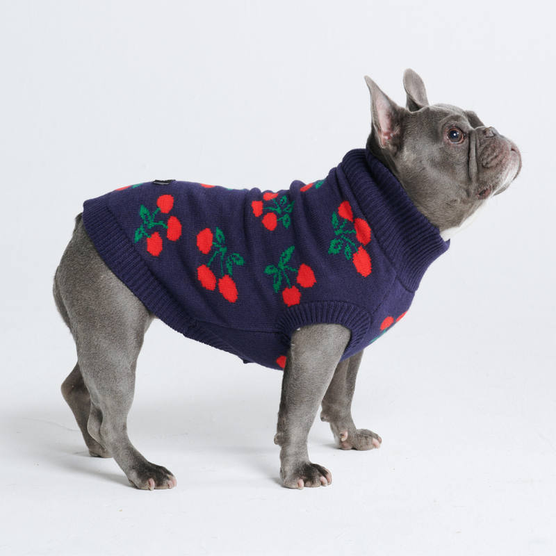 Maglione per cane lavorato a maglia - Ciliegie