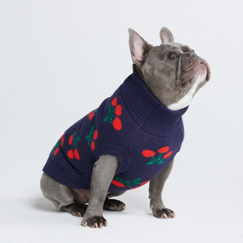 Maglione per cane lavorato a maglia - Ciliegie