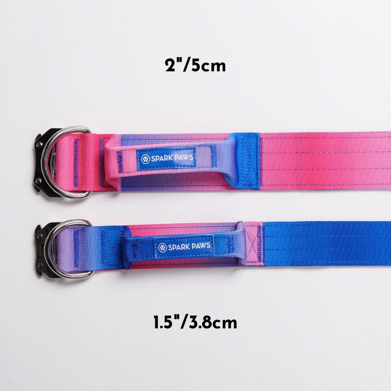 Set di collari tattici per cani - Cono di Neve