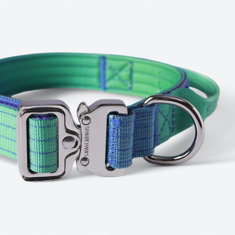 Set di collari tattici per cani - Lime Wave