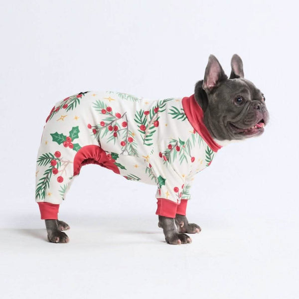 Pigiama di Natale per cane - Vischio