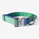 Set di collari tattici per cani - Lime Wave