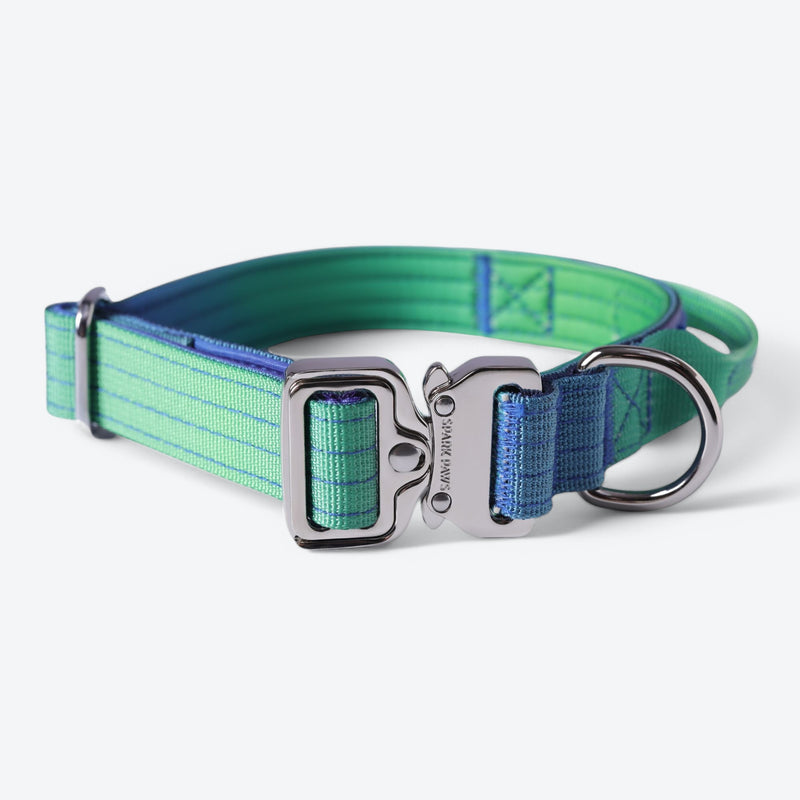 Set di collari tattici per cani - Lime Wave