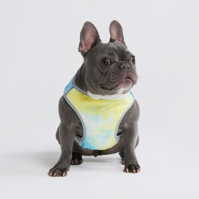 Gilet di raffreddamento per cani - Tempesta tropicale