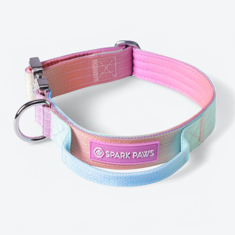 Set di collari tattici per cani - Glassa pastello