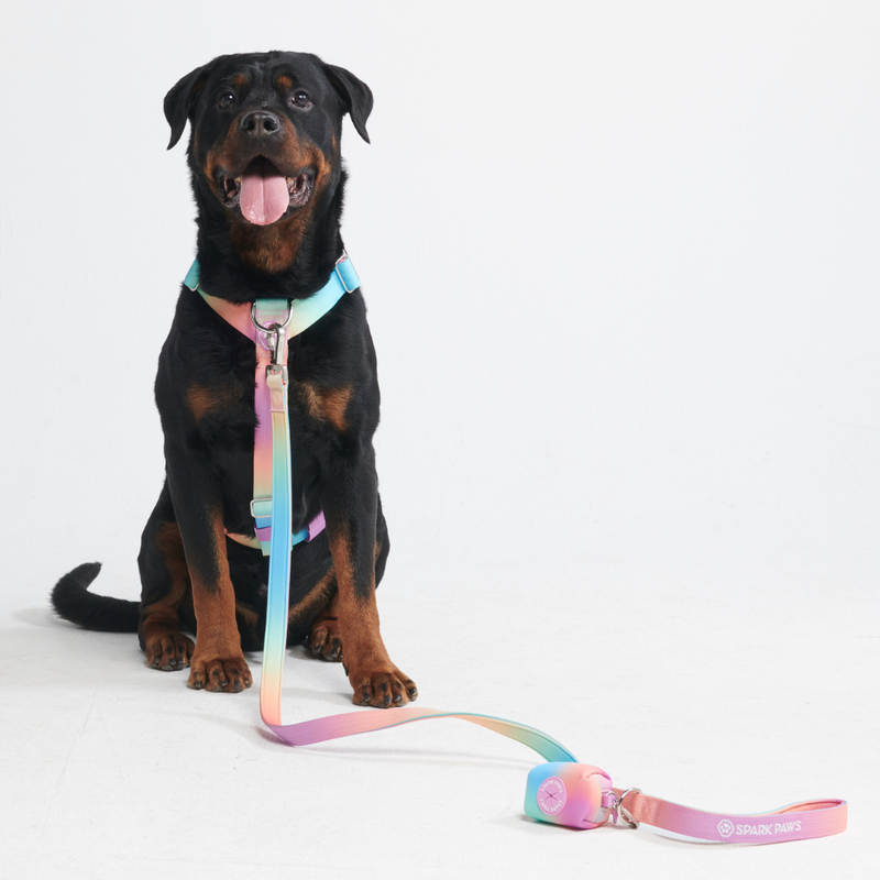 Imbracatura per cani Comfort Control No-Pull - Glassa Pastello