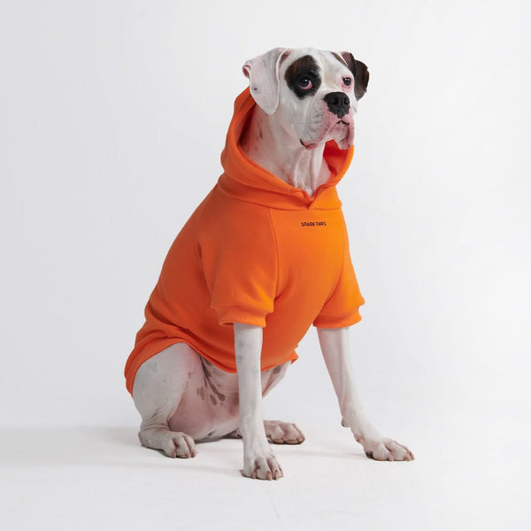 Felpa con cappuccio Essential Dog - Arancione