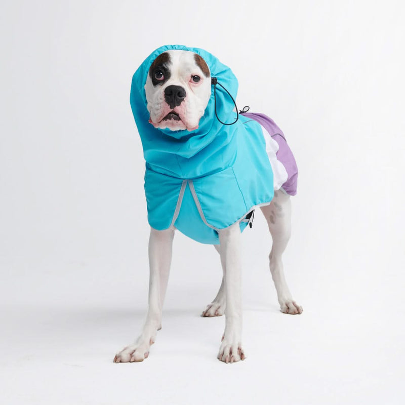 Impermeabile per cani Breatheshield™ - Verde acqua Bianco Viola