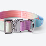 Set di collari tattici per cani - Glassa pastello