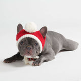 Cappello per cani Pom Pom in Maglia