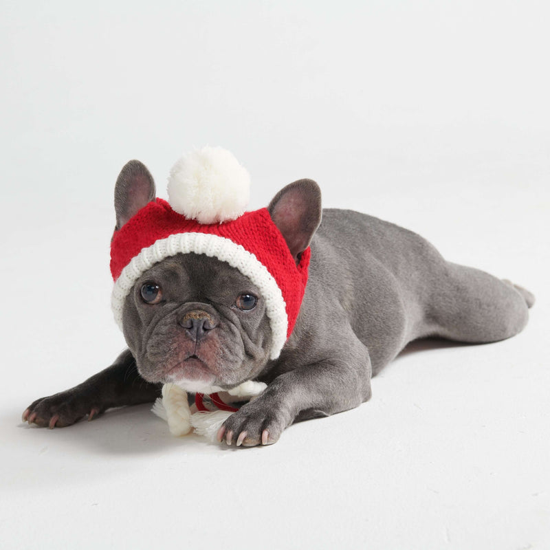 Cappello per cani Pom Pom in Maglia