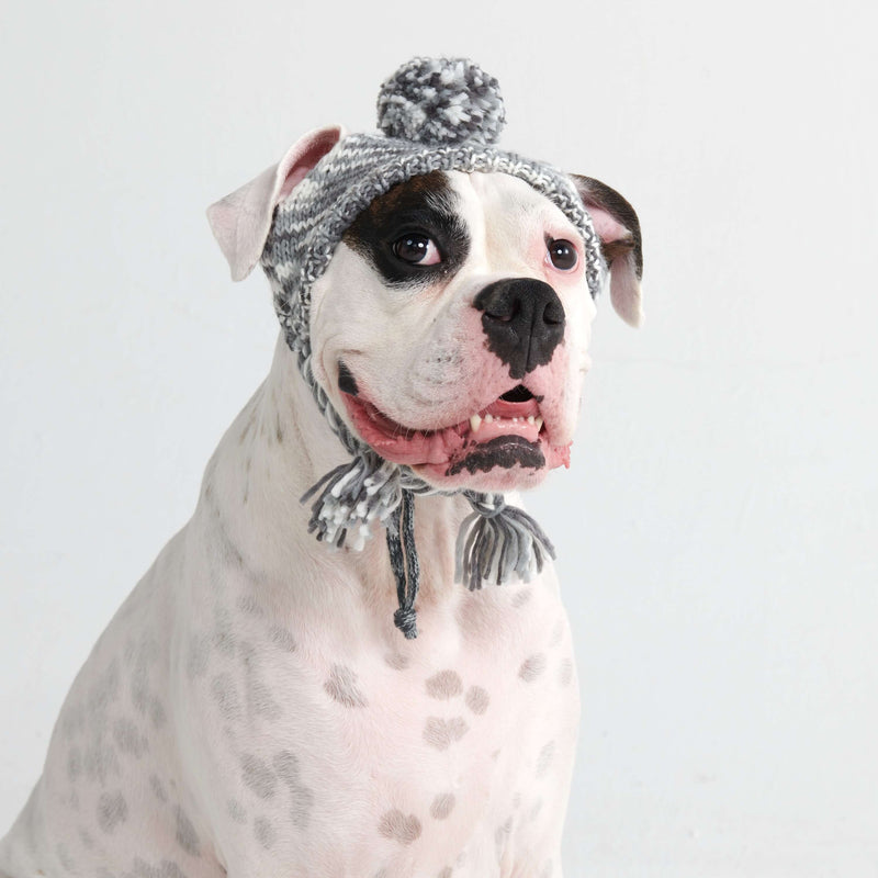 Cappello per cani Pom Pom in Maglia