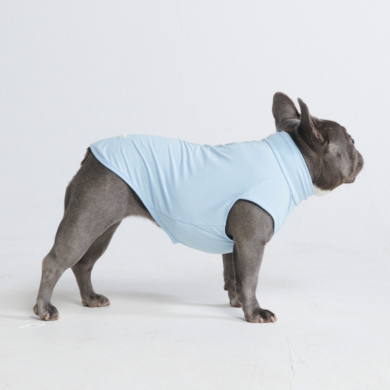 T-shirt per cani Sunblock - Blu