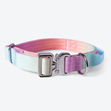 Set di collari tattici per cani - Glassa pastello