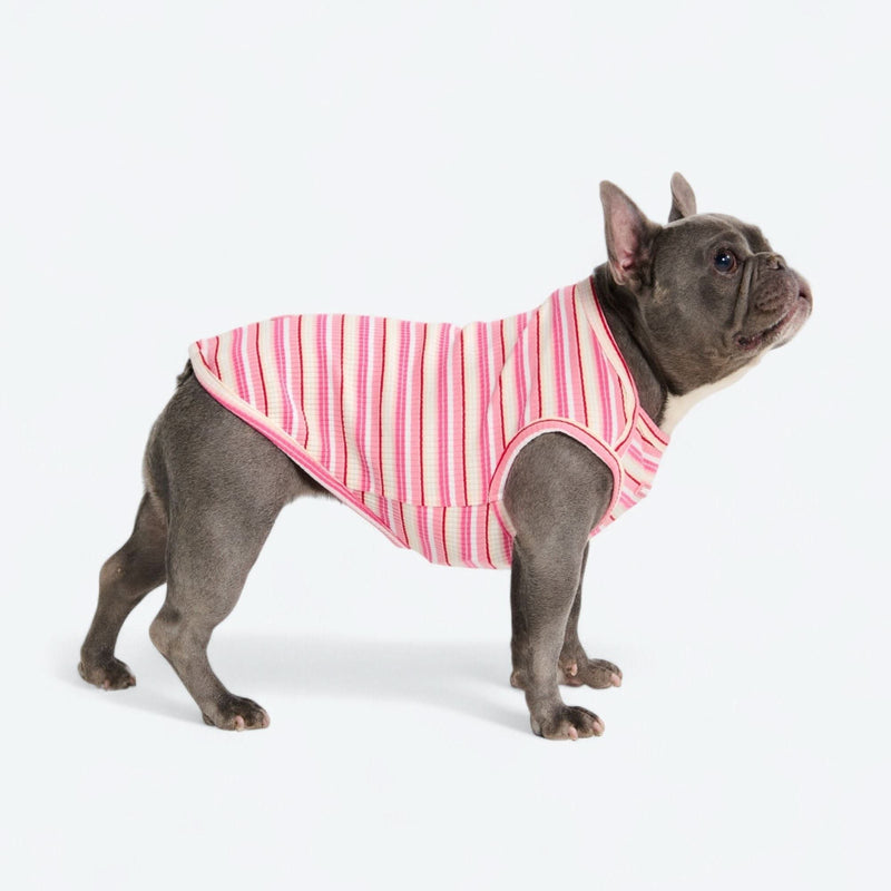 Maglietta a righe - Rosa Rosso