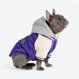 Giacca varsity per cani - Viola