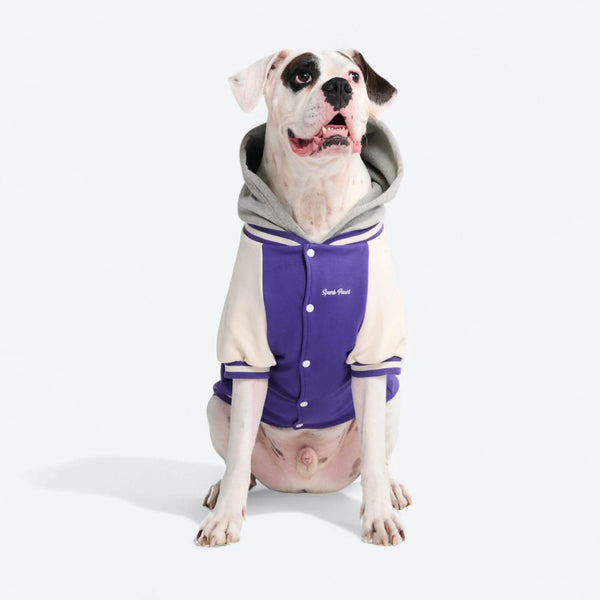 Purple Varsity Jacket