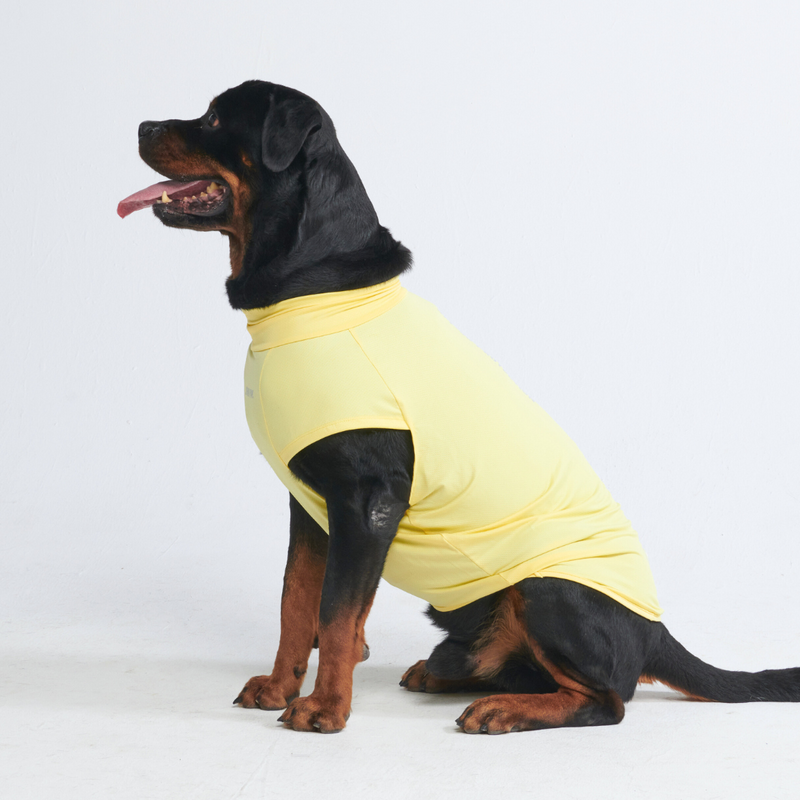 T-shirt per cani Sunblock - Gialla