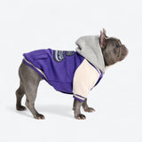 Giacca varsity per cani - Viola