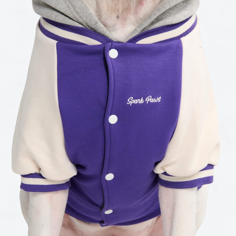 Giacca varsity per cani - Viola