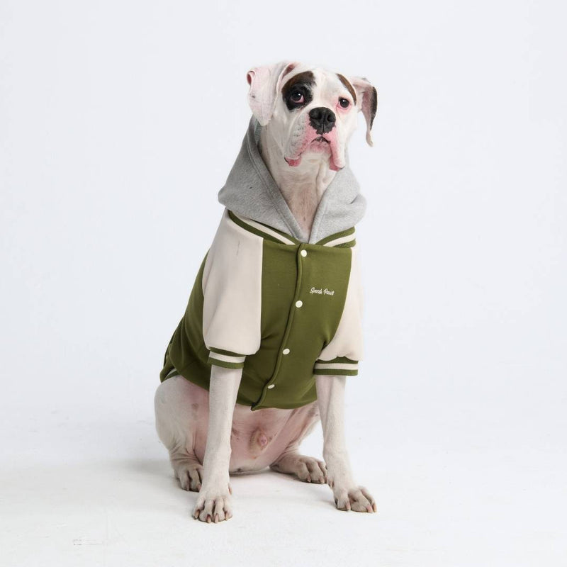 Giacca universitaria per cani - Verde