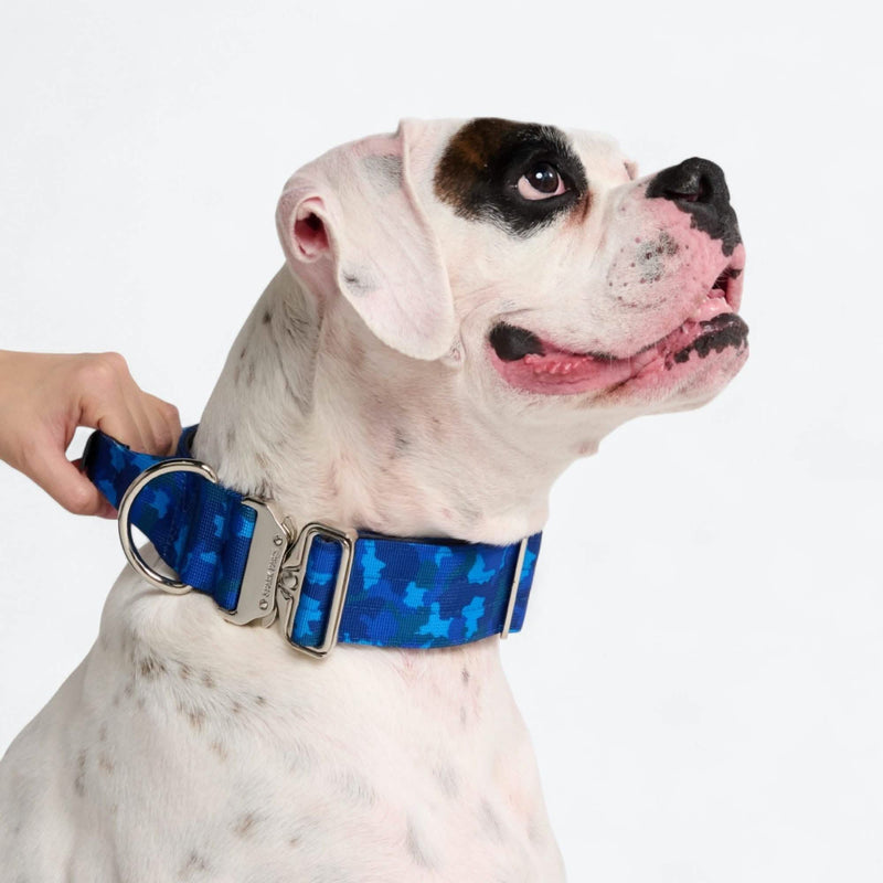 Collare comfort control - Camo Blu