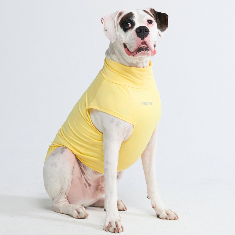 T-shirt per cani Sunblock - Gialla
