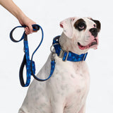 Collare comfort control - Camo Blu