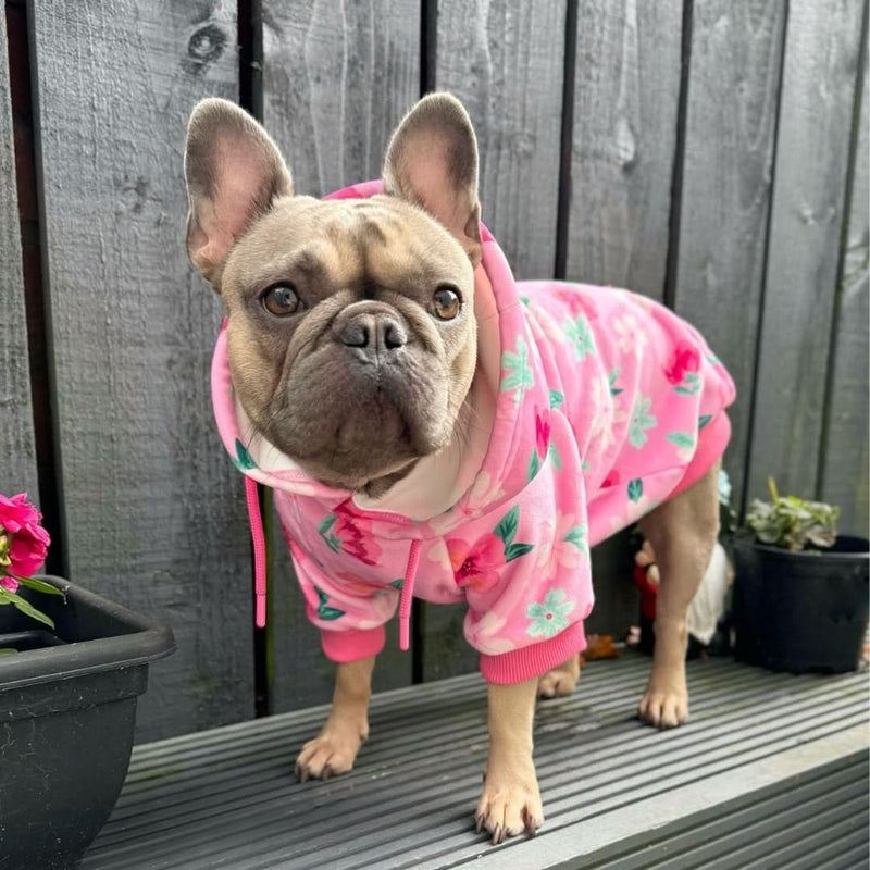 Blossom Felpa per Cane - Rosa