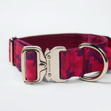 Set collare comfort control - Camo Fucsia