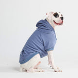 Maglione Essenziale per Cani - Blu Ardesia
