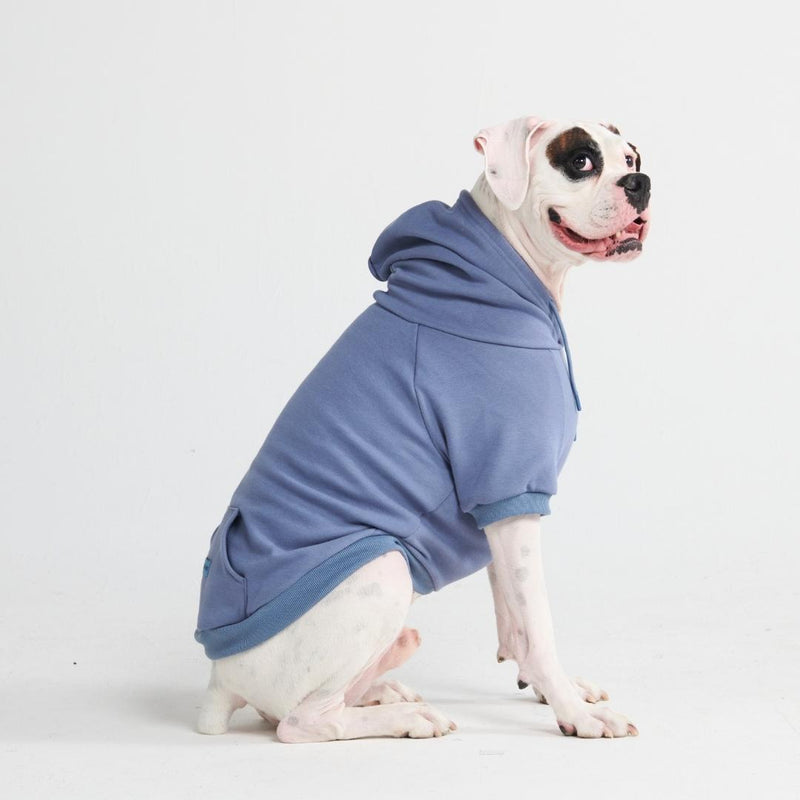 Felpa con cappuccio Essential Dog - Blu cenere