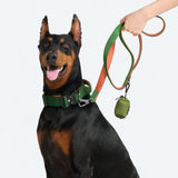 Collare comfort control - Verde Arancione