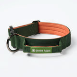 Collare comfort control - Verde Arancione