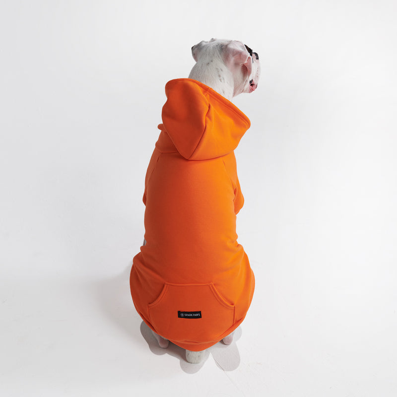 Felpa con cappuccio Essential Dog - Arancione