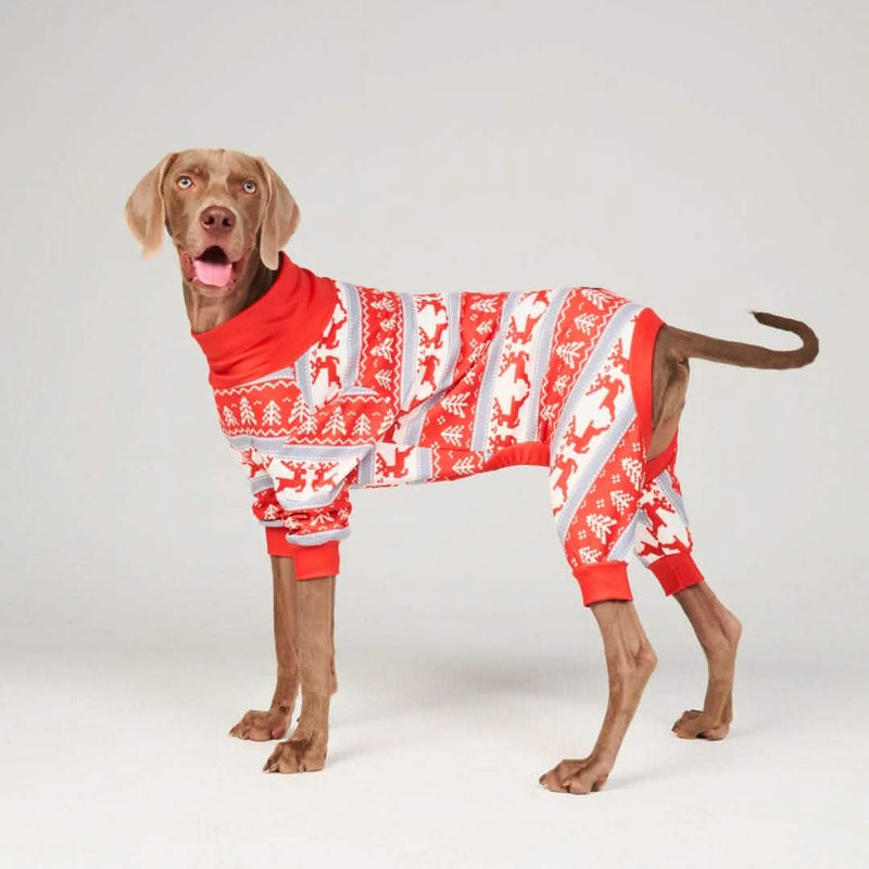 Pigiama per Cani - Paese delle Meraviglie Invernale