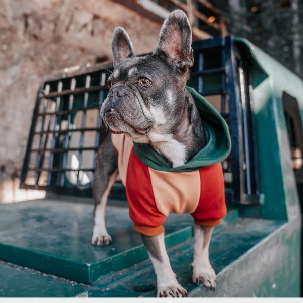 Ranger Felpa per Cane