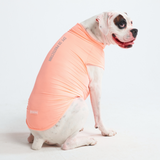Maglietta per cani Sunblock - Pesca