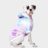 Maglione in Velluto per Cani - Anni '90 Retrò