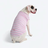 Purple Blue Stripe Shirt
