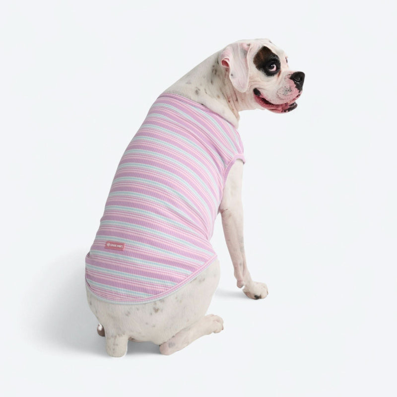 Purple Blue Stripe Shirt