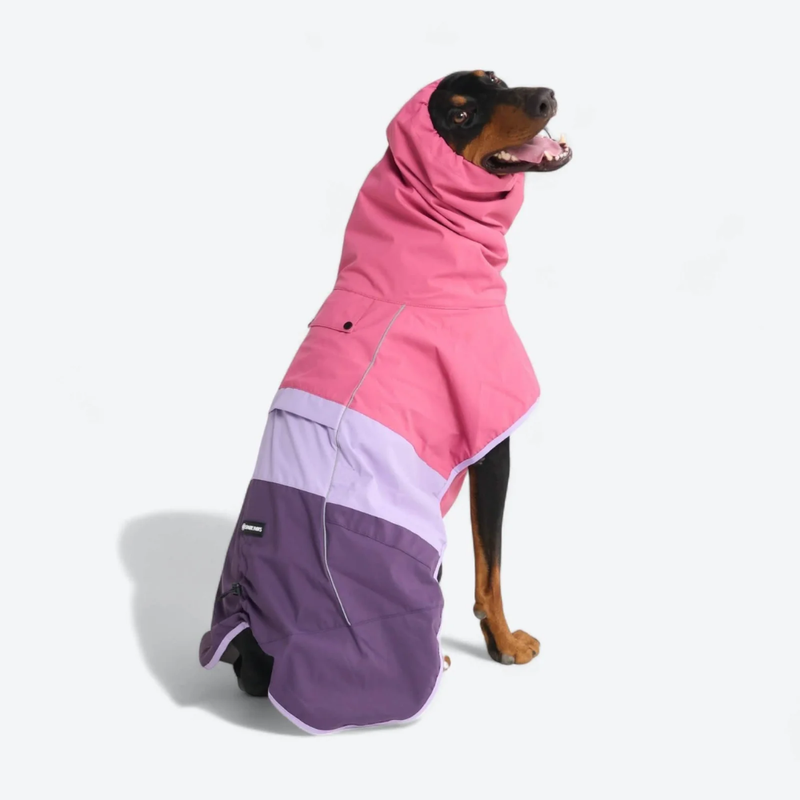 Stivali Impermeabili In Silicone Per Cani | 4 Pezzi Per Pioggia E Neve, Antiscivolo Per Esterni