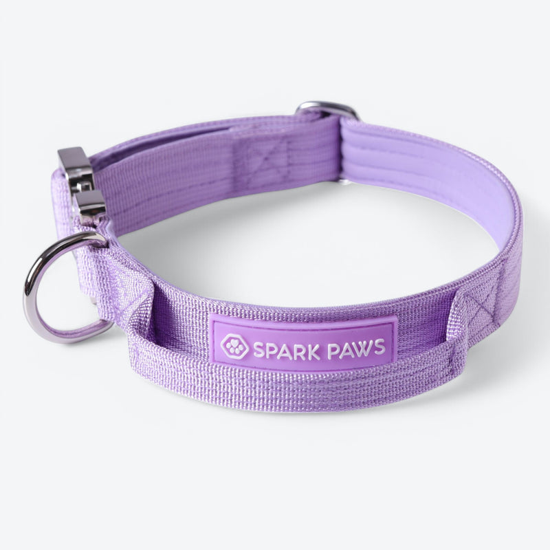 Collare tattico per cani - Lilla