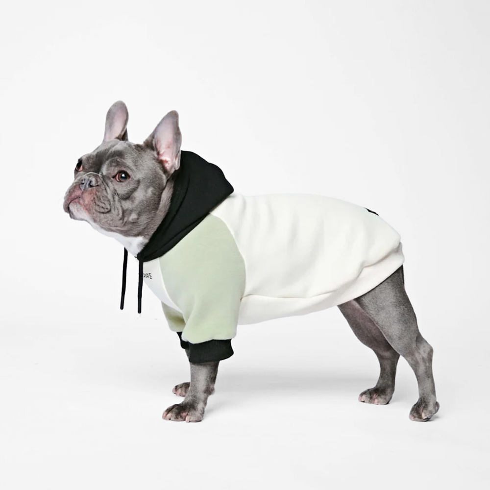 Felpa Divertente 'Steal Heart' Per Amanti Dei Pitbull - Dogma Cane