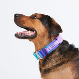 Collare tattico per cani - 90s Retro