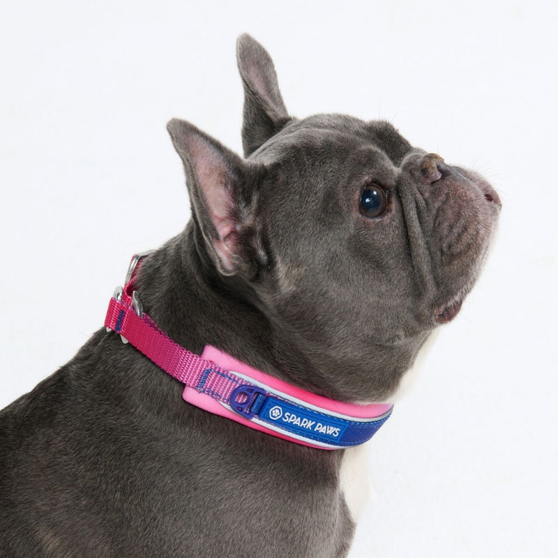 Snow Cone Martingale Collar||size:A,B