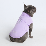 Maglietta per cani Sunblock - Viola