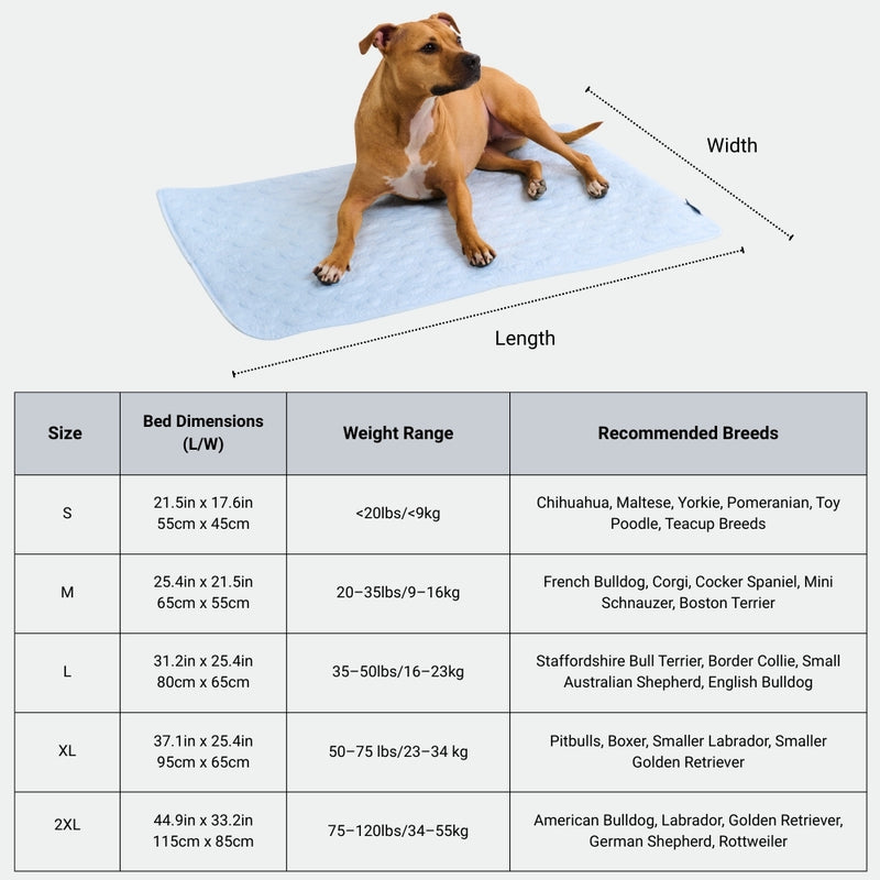 Guida alle dimensioni